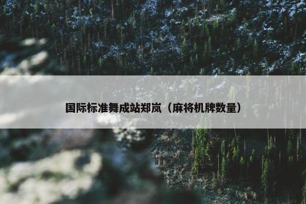 国际标准舞成站郑岚（麻将机牌数量）