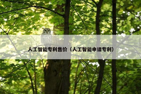 人工智能专利售价（人工智能申请专利）