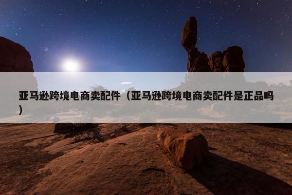 亚马逊跨境电商卖配件（亚马逊跨境电商卖配件是正品吗）