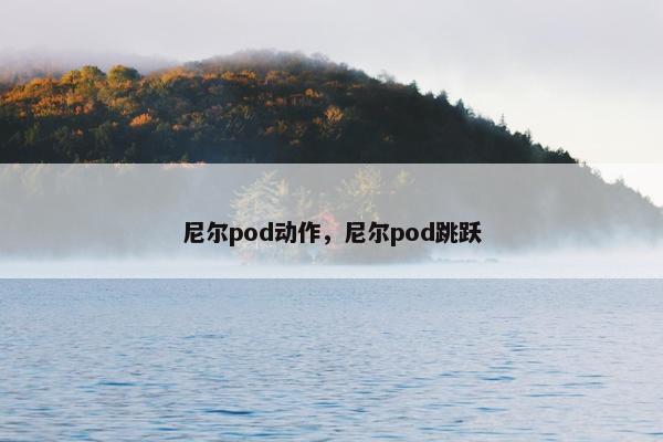 尼尔pod动作，尼尔pod跳跃