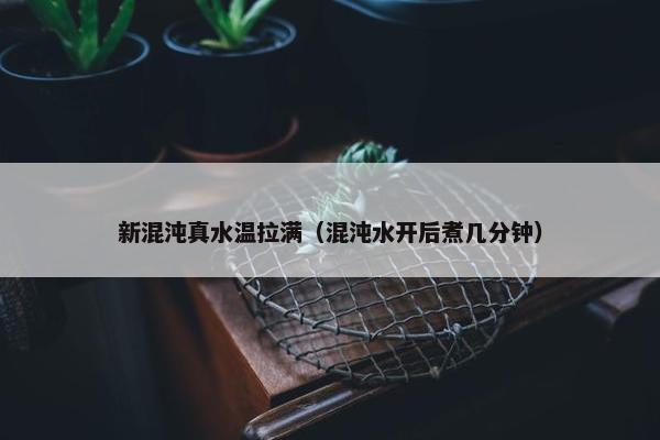 新混沌真水温拉满（混沌水开后煮几分钟）