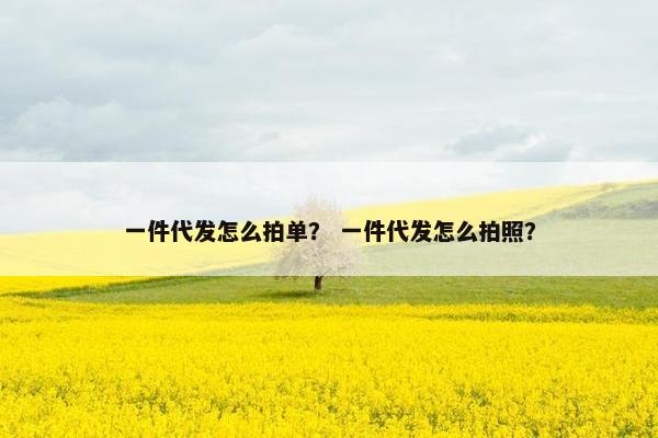 一件代发怎么拍单？ 一件代发怎么拍照？