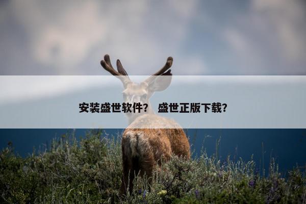安装盛世软件？ 盛世正版下载？