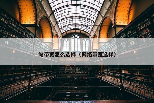 站带宽怎么选择（网络带宽选择）