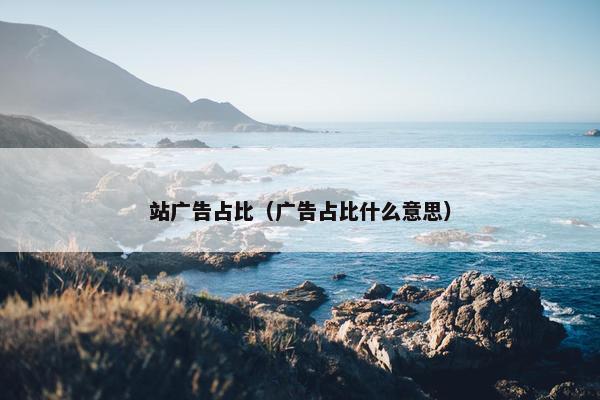 站广告占比（广告占比什么意思）