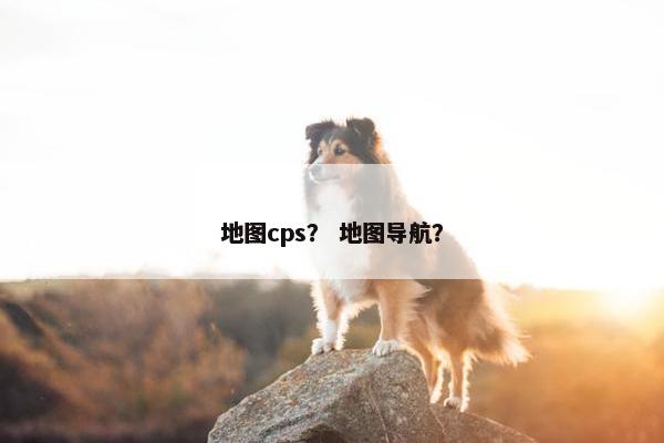 地图cps？ 地图导航？