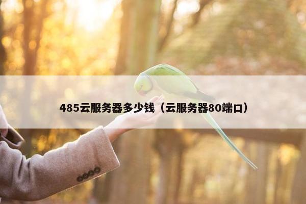 485云服务器多少钱（云服务器80端口）