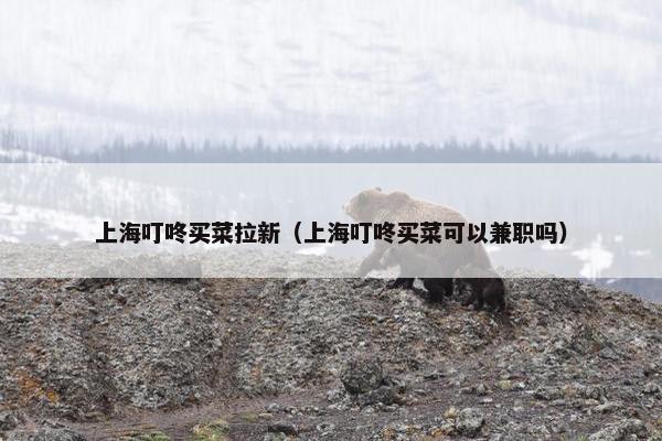 上海叮咚买菜拉新（上海叮咚买菜可以兼职吗）