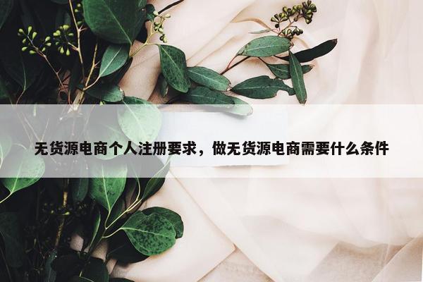 无货源电商个人注册要求，做无货源电商需要什么条件