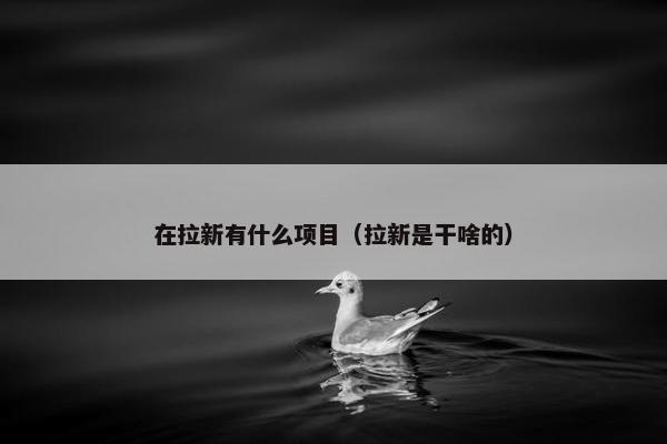 在拉新有什么项目（拉新是干啥的）