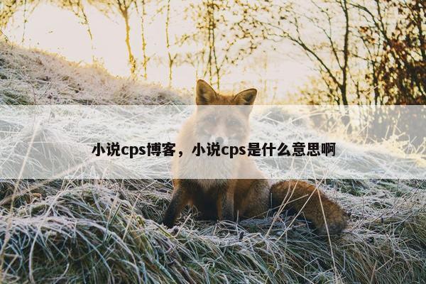 小说cps博客，小说cps是什么意思啊