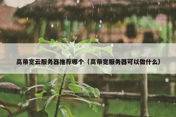 高带宽云服务器推荐哪个（高带宽服务器可以做什么）