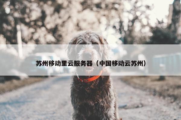 苏州移动里云服务器（中国移动云苏州）