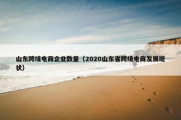 山东跨境电商企业数量（2020山东省跨境电商发展现状）