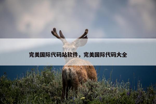 完美国际代码站软件，完美国际代码大全