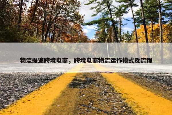 物流提速跨境电商，跨境电商物流运作模式及流程