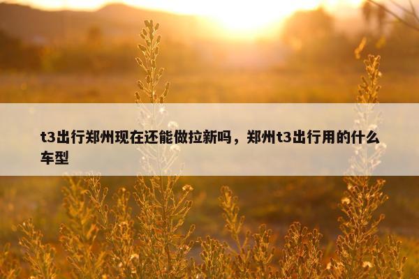 t3出行郑州现在还能做拉新吗，郑州t3出行用的什么车型