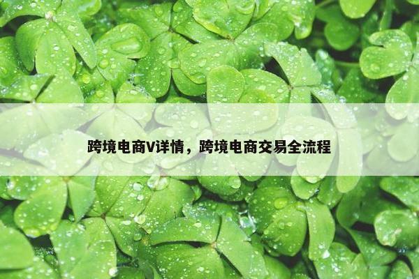 跨境电商V详情，跨境电商交易全流程