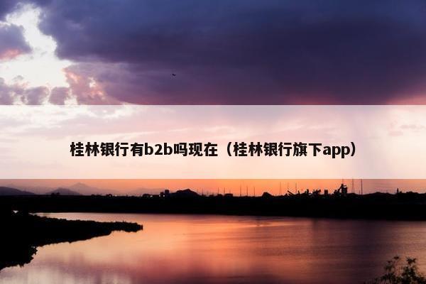 桂林银行有b2b吗现在（桂林银行旗下app）