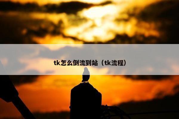 tk怎么倒流到站（tk流程）