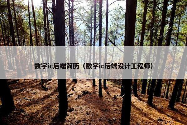 数字ic后端简历（数字ic后端设计工程师）