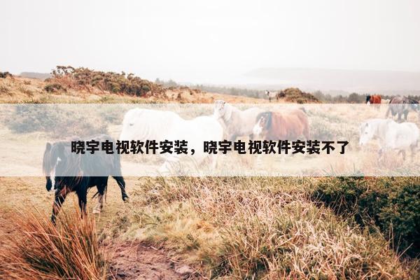 晓宇电视软件安装，晓宇电视软件安装不了