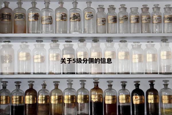 关于5级分佣的信息