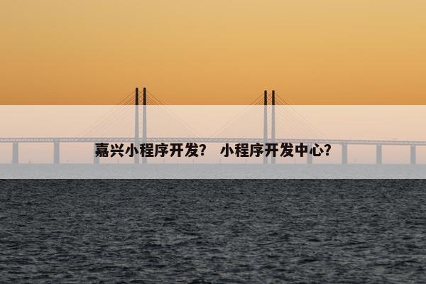 嘉兴小程序开发？ 小程序开发中心？
