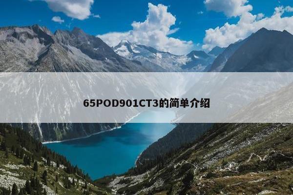 65POD901CT3的简单介绍