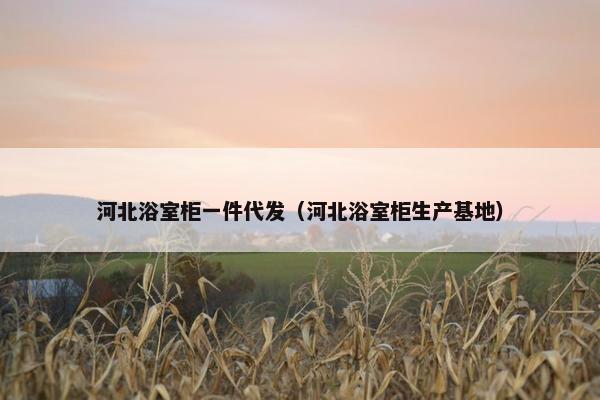 河北浴室柜一件代发（河北浴室柜生产基地）