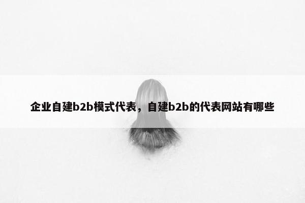 企业自建b2b模式代表，自建b2b的代表网站有哪些