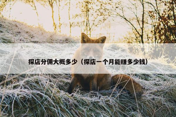 探店分佣大概多少（探店一个月能赚多少钱）