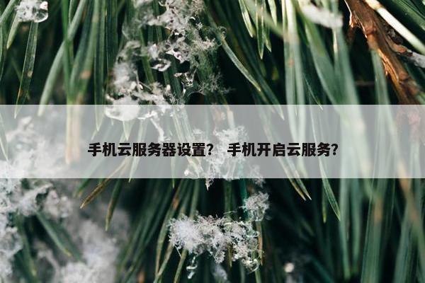 手机云服务器设置？ 手机开启云服务？