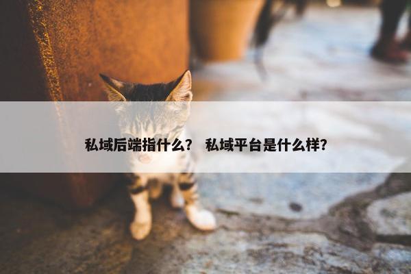 私域后端指什么？ 私域平台是什么样？