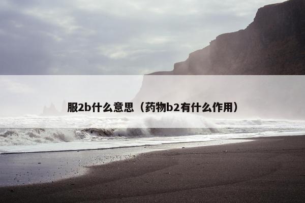 服2b什么意思（药物b2有什么作用）