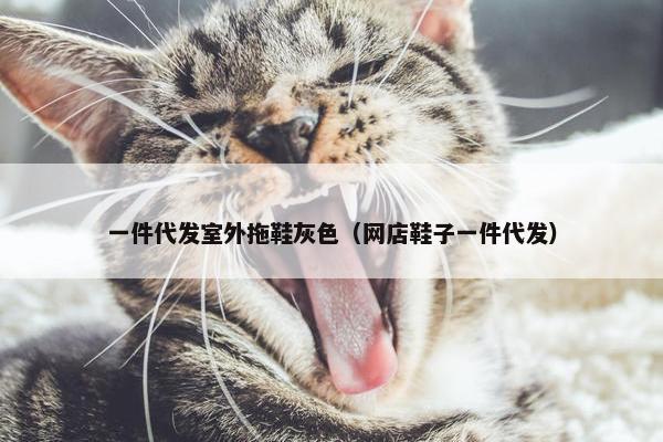 一件代发室外拖鞋灰色（网店鞋子一件代发）