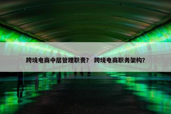 跨境电商中层管理职责？ 跨境电商职务架构？