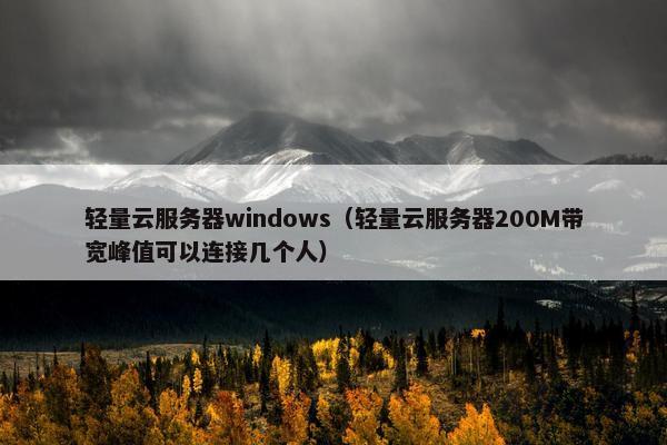 轻量云服务器windows（轻量云服务器200M带宽峰值可以连接几个人）