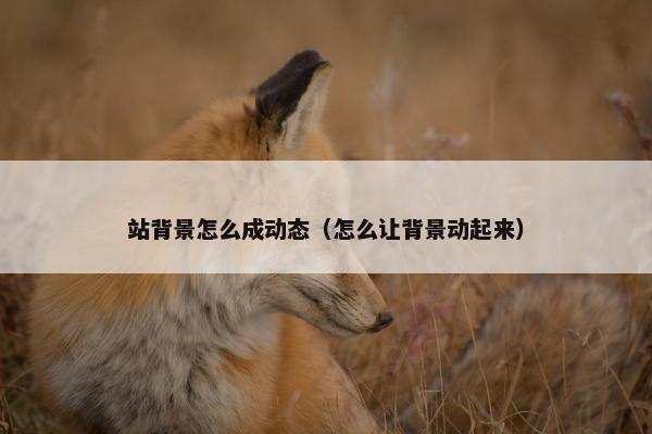 站背景怎么成动态（怎么让背景动起来）