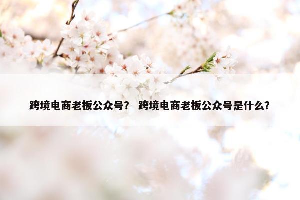 跨境电商老板公众号？ 跨境电商老板公众号是什么？