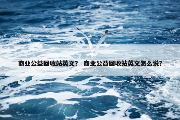 商业公益回收站英文？ 商业公益回收站英文怎么说？