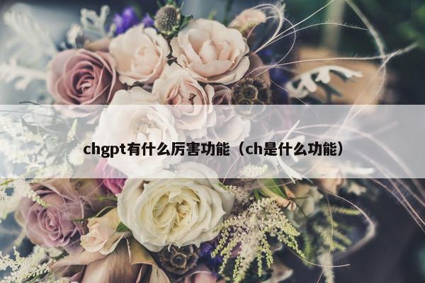 chgpt有什么厉害功能（ch是什么功能）