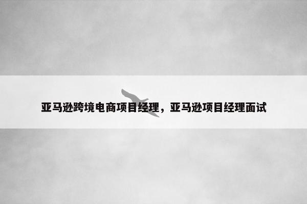 亚马逊跨境电商项目经理，亚马逊项目经理面试