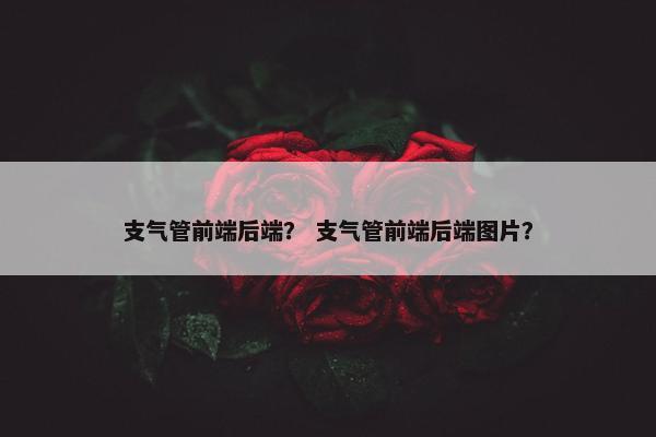 支气管前端后端？ 支气管前端后端图片？