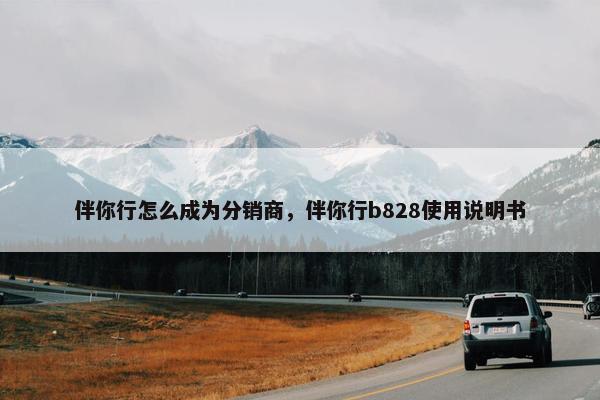 伴你行怎么成为分销商，伴你行b828使用说明书