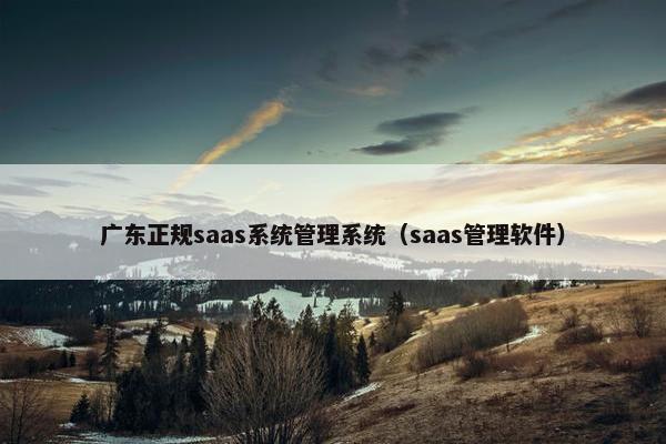 广东正规saas系统管理系统（saas管理软件）