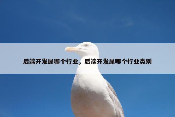 后端开发属哪个行业，后端开发属哪个行业类别
