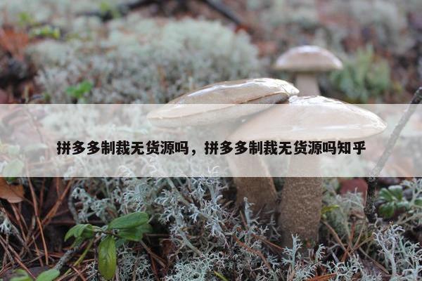 拼多多制裁无货源吗，拼多多制裁无货源吗知乎