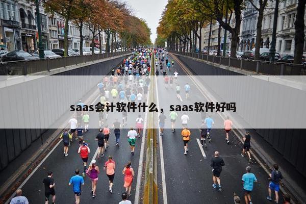 saas会计软件什么，saas软件好吗