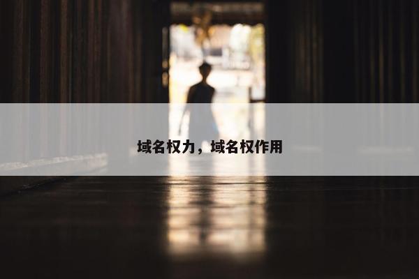 域名权力，域名权作用